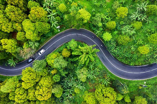Bird’s eye view: take off with drone photography