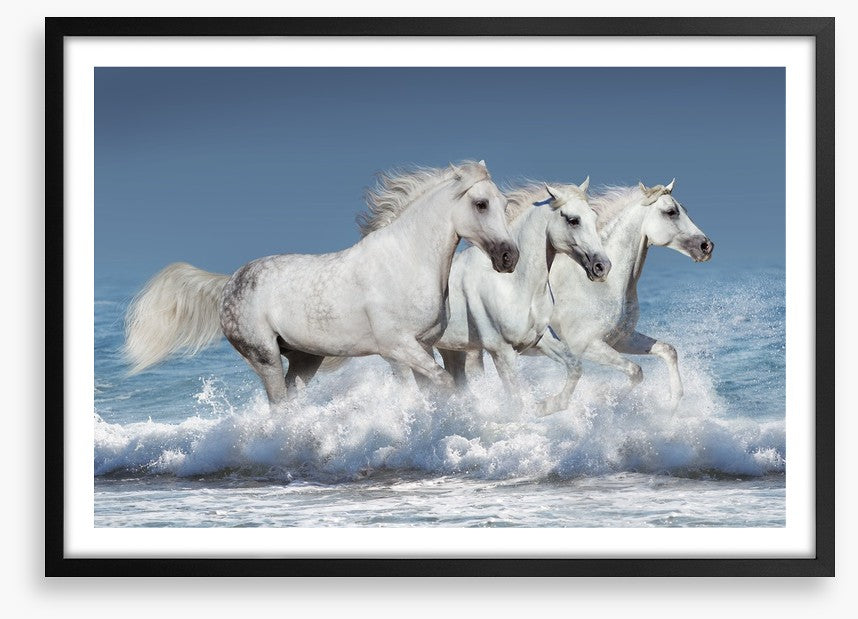Ocean run