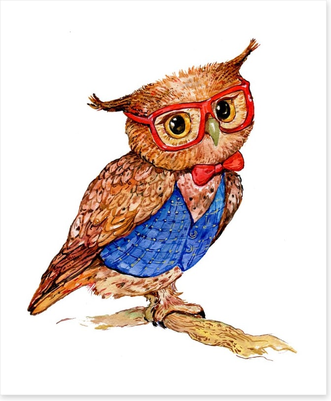 Owls
