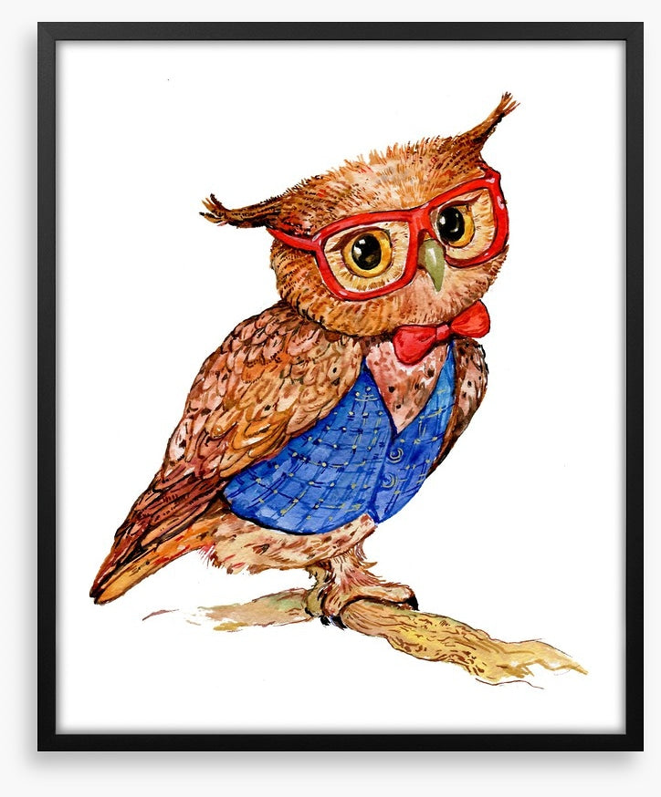 Owls