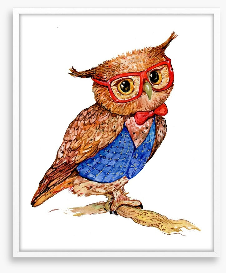 Owls