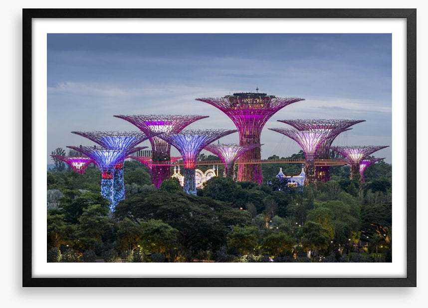 Gardens by the bay