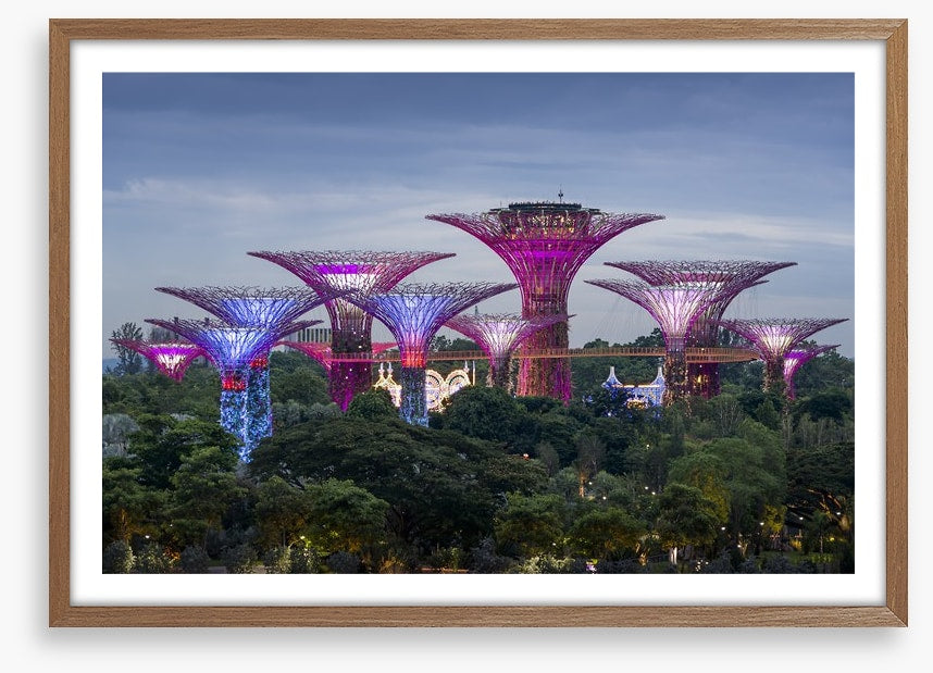 Gardens by the bay