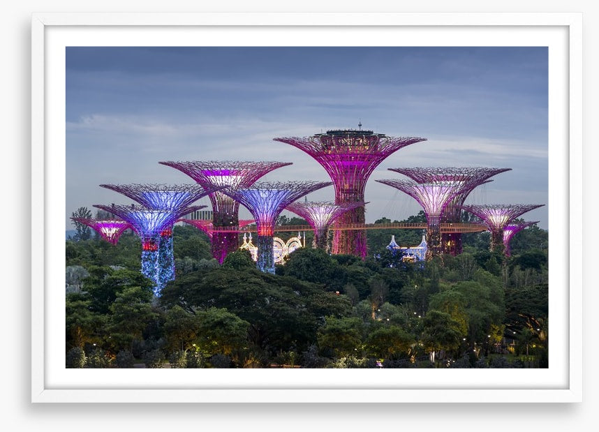 Gardens by the bay