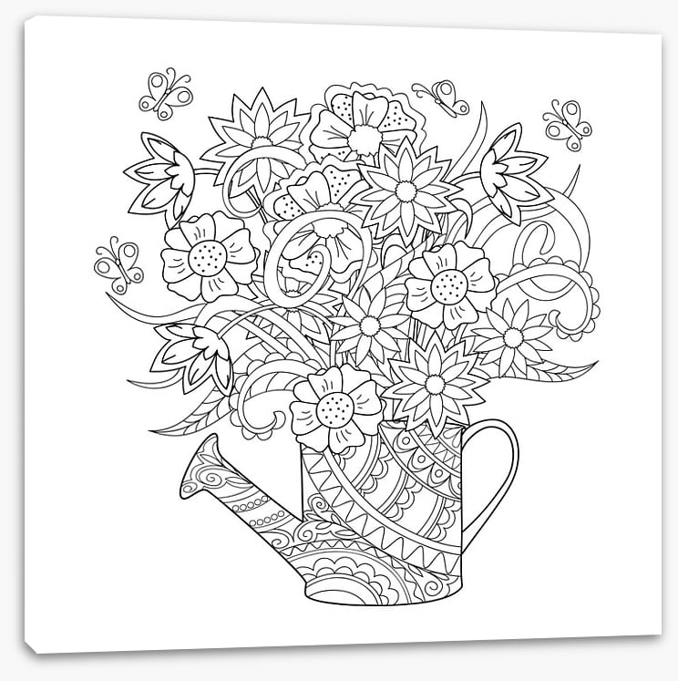 Colour me watering can