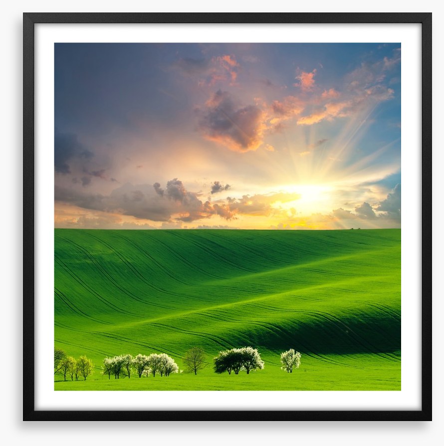 Rolling hill sunburst