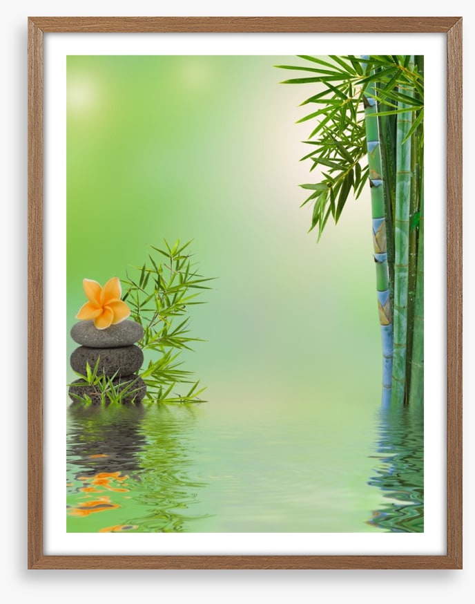 Floating frangipani