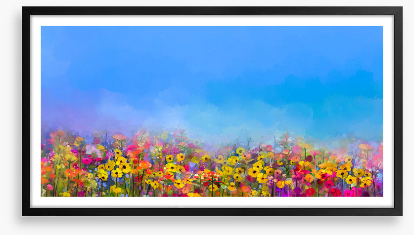 Cornflower sky
