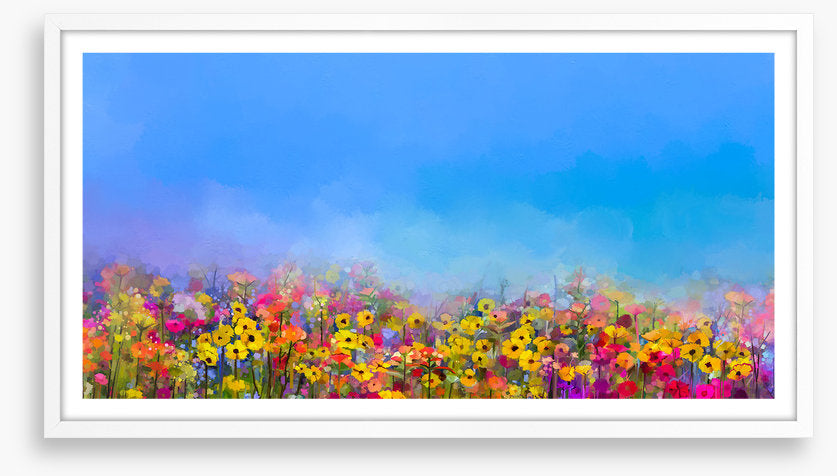 Cornflower sky