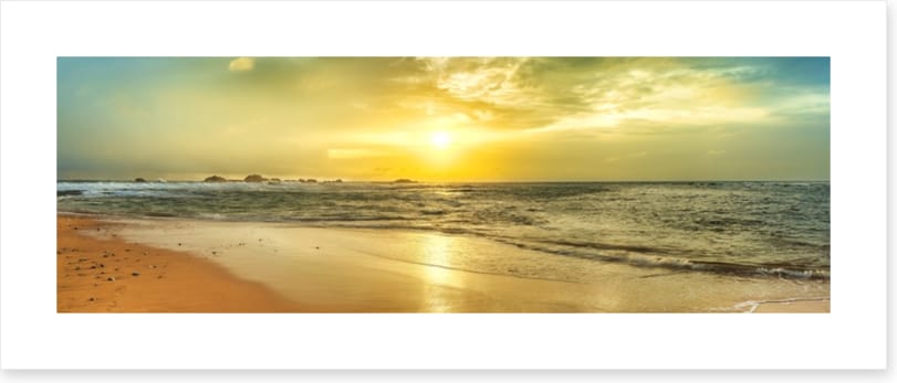 Golden tide panorama