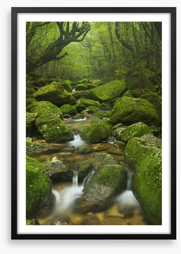 Wilderness waterfall