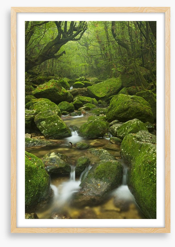 Wilderness waterfall