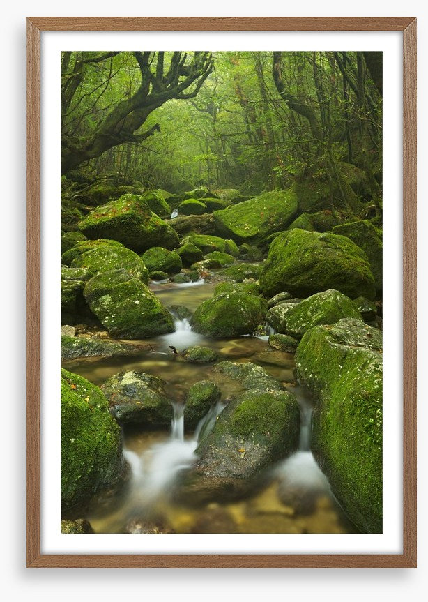 Wilderness waterfall