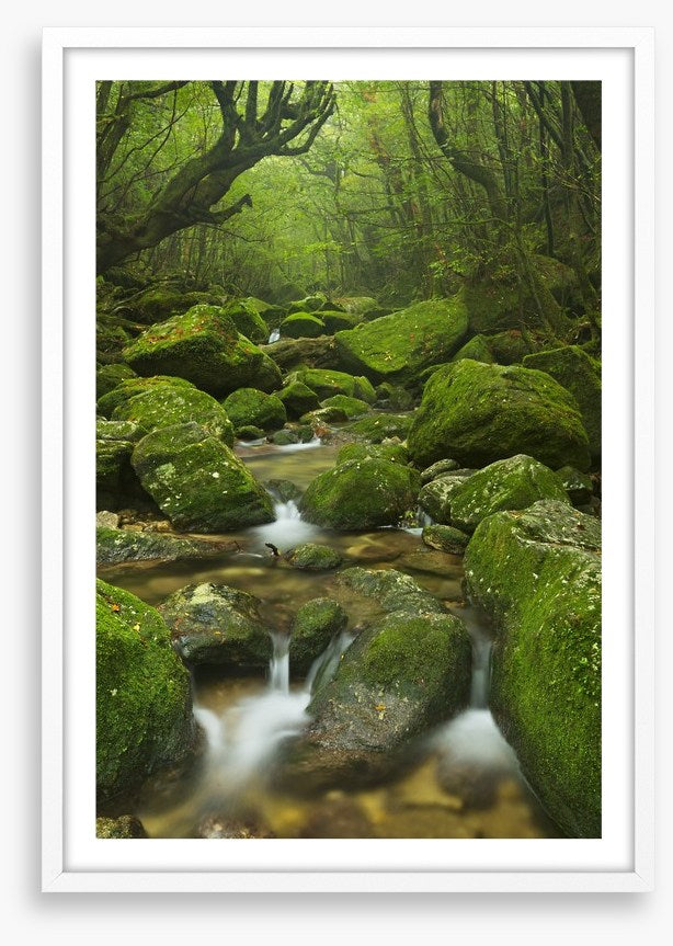 Wilderness waterfall