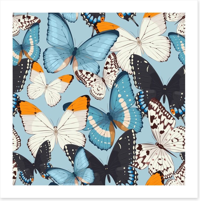 Butterflies