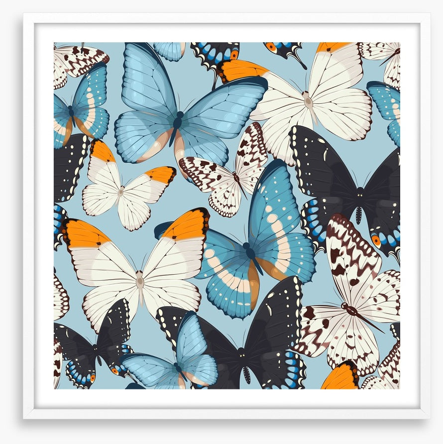 Butterflies