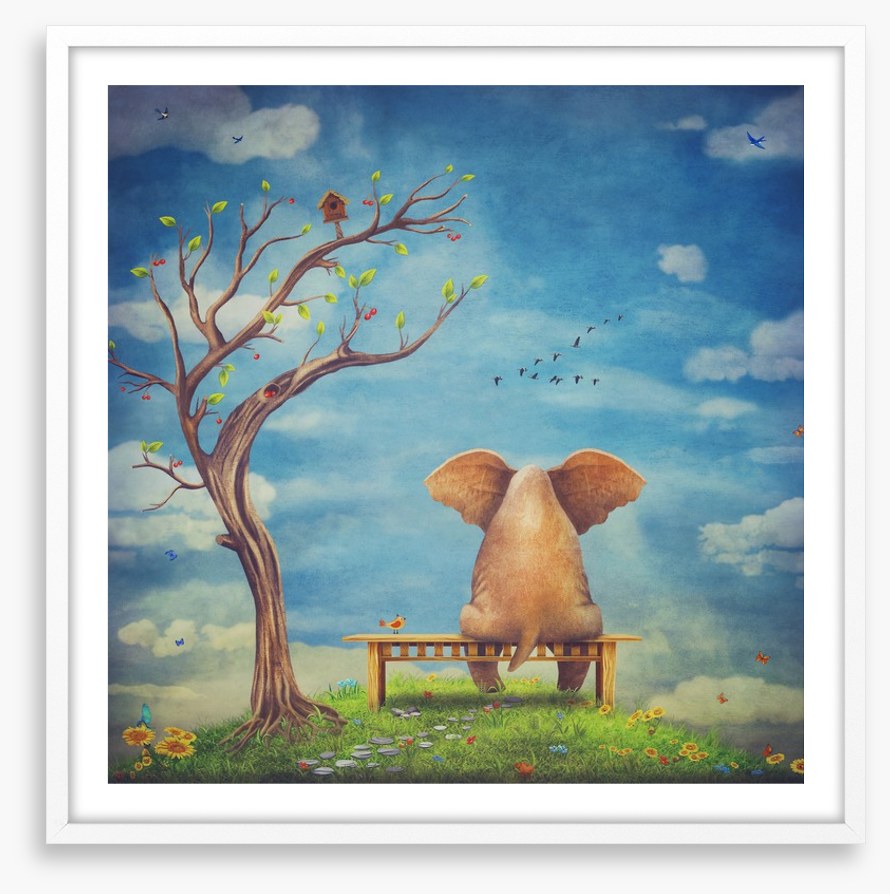Elephant in the glade
