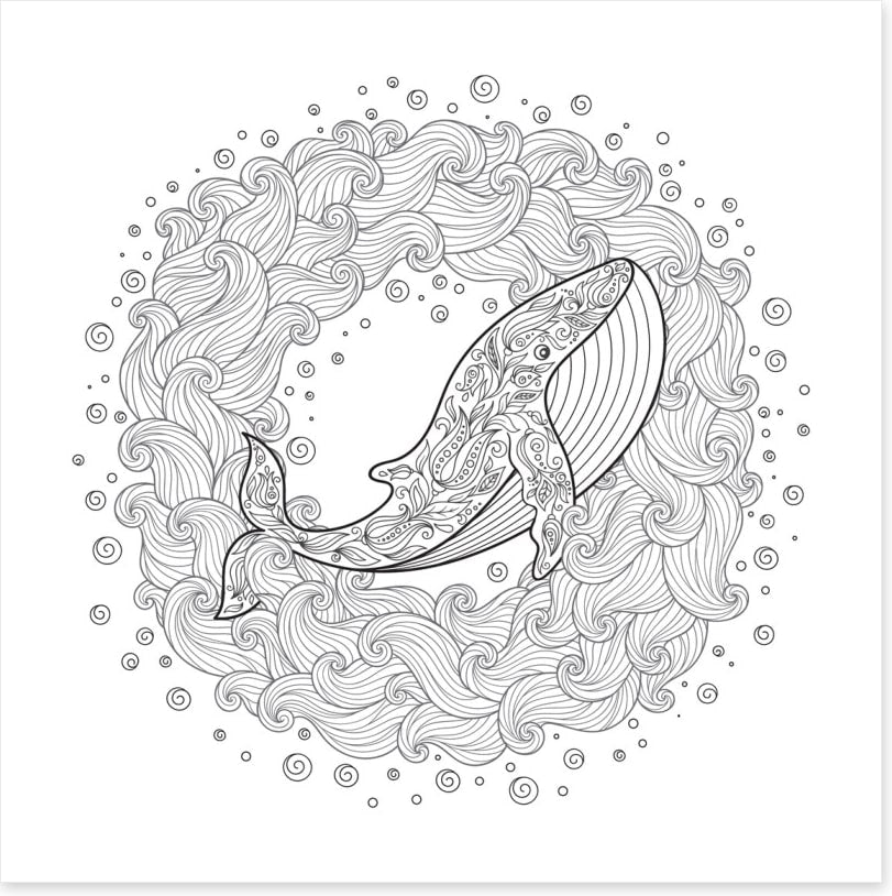 Colour me whale waves