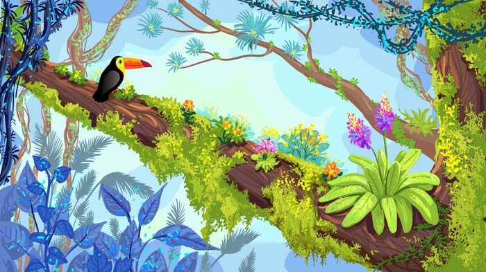 Toucan in the tree