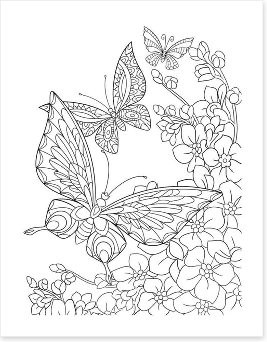 Colour me butterflies