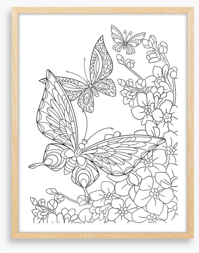 Colour me butterflies