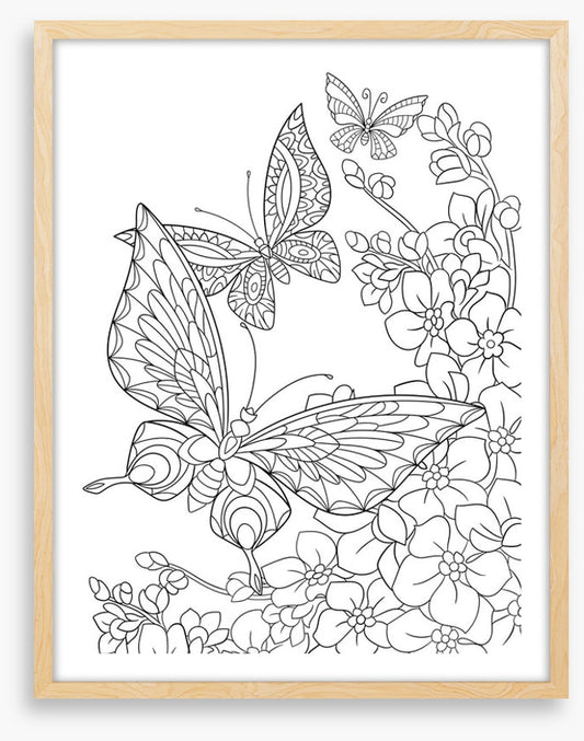 Colour me butterflies