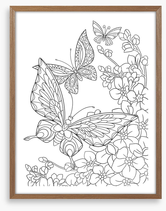 Colour me butterflies