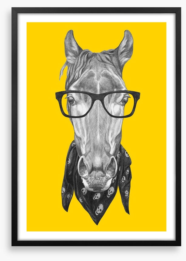Hipster horse