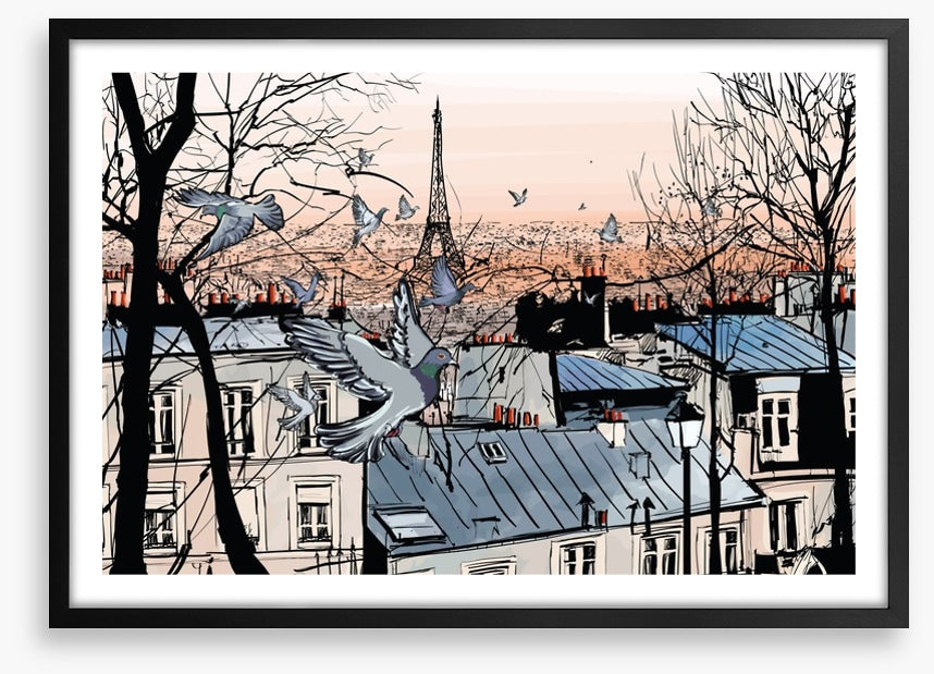 Pigeons of Montmartre