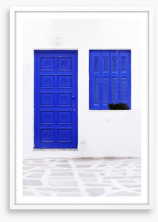 Blue window cat