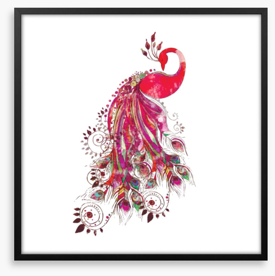 Peacock in fuchsia