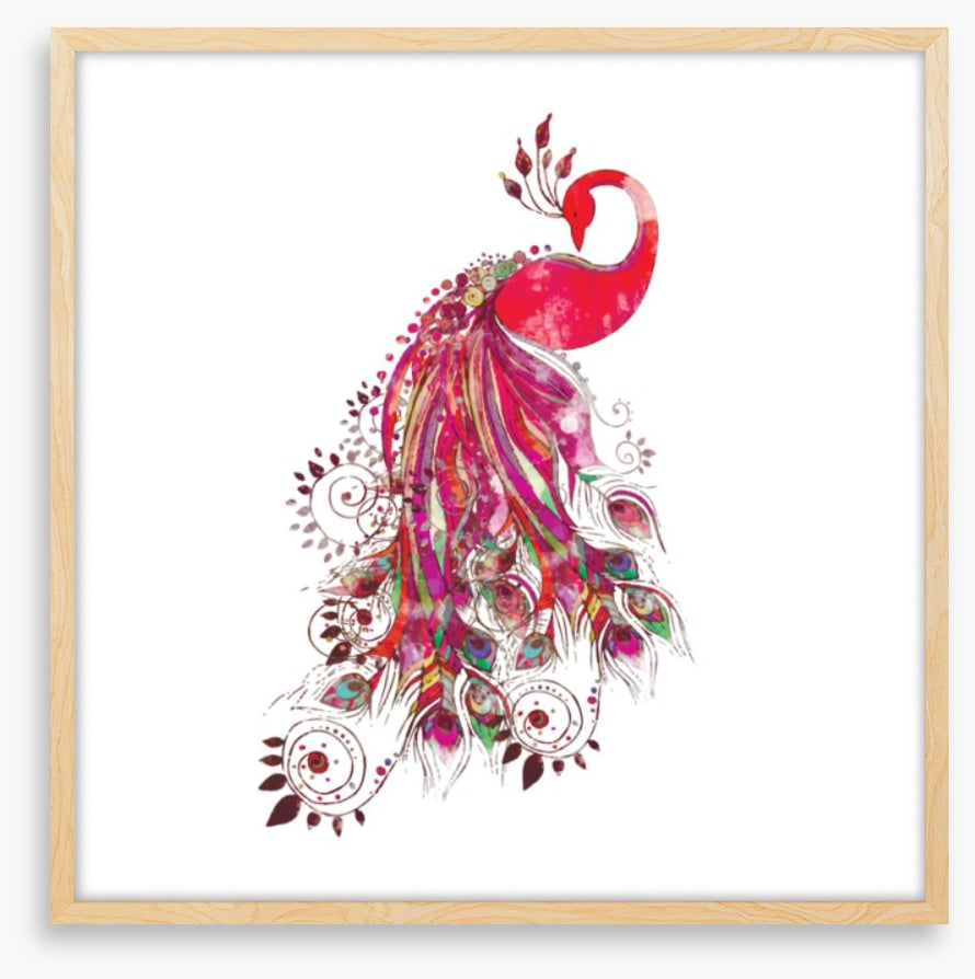 Peacock in fuchsia