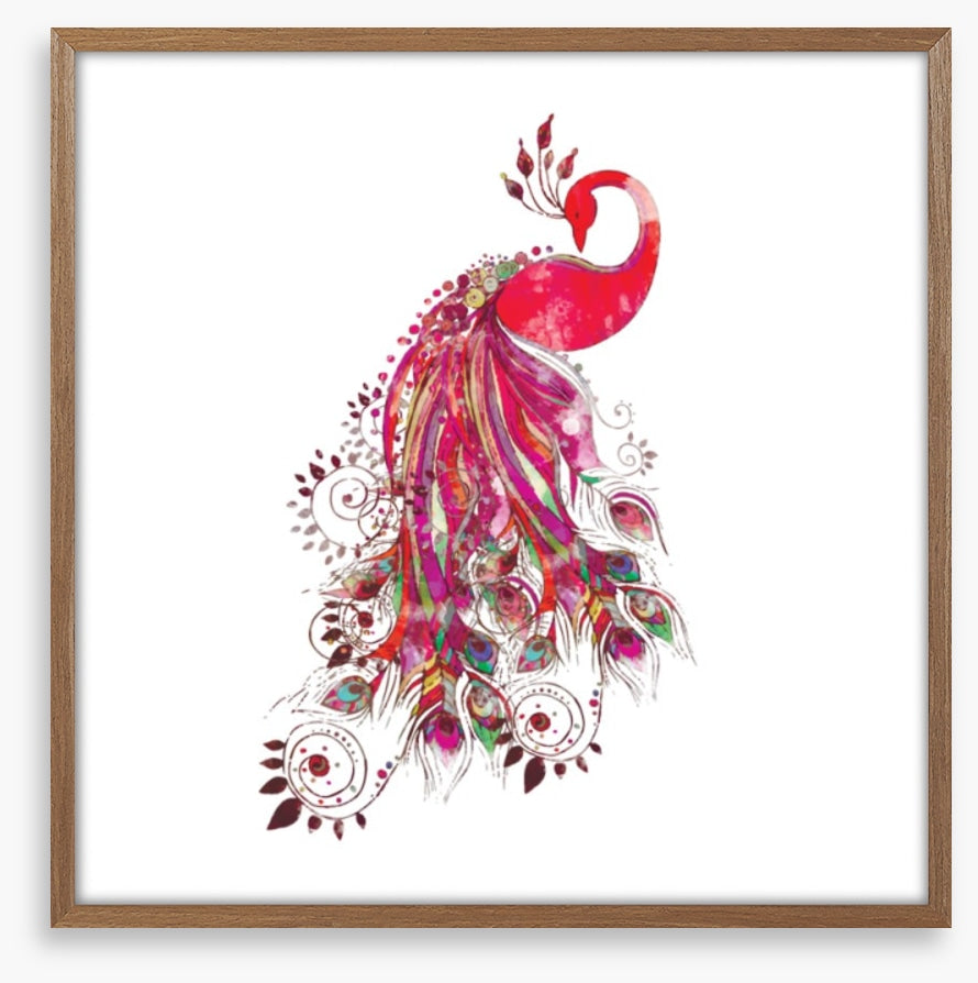 Peacock in fuchsia