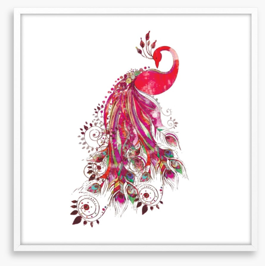 Peacock in fuchsia