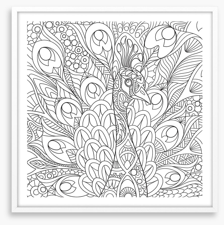 Colour me peacock