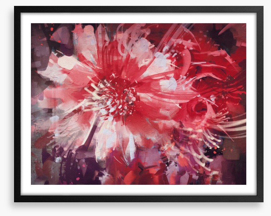 Bloom