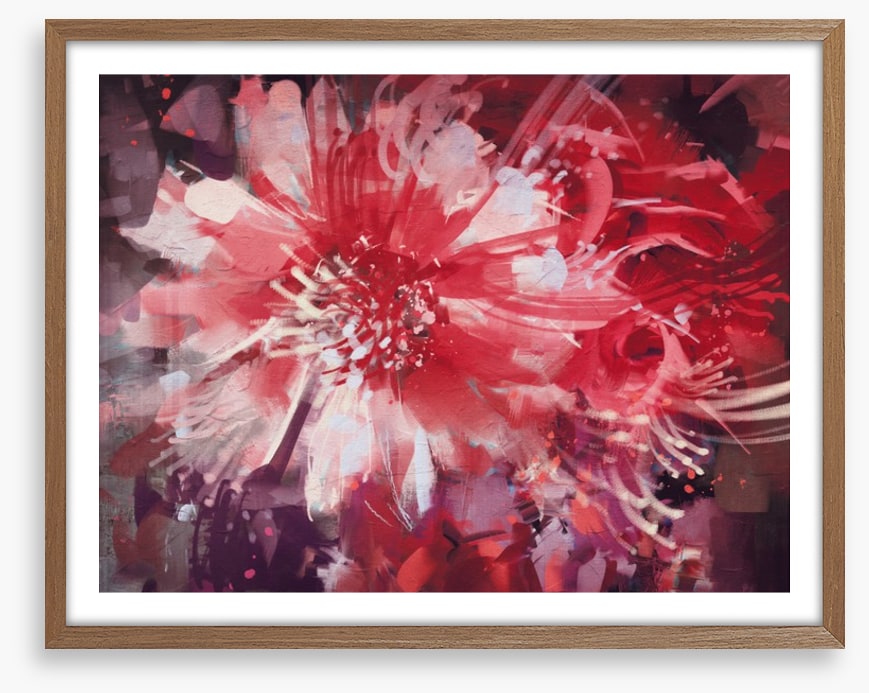 Bloom