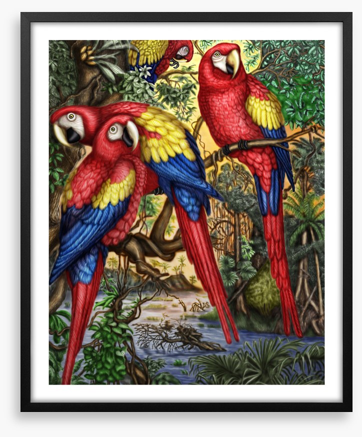 Birds