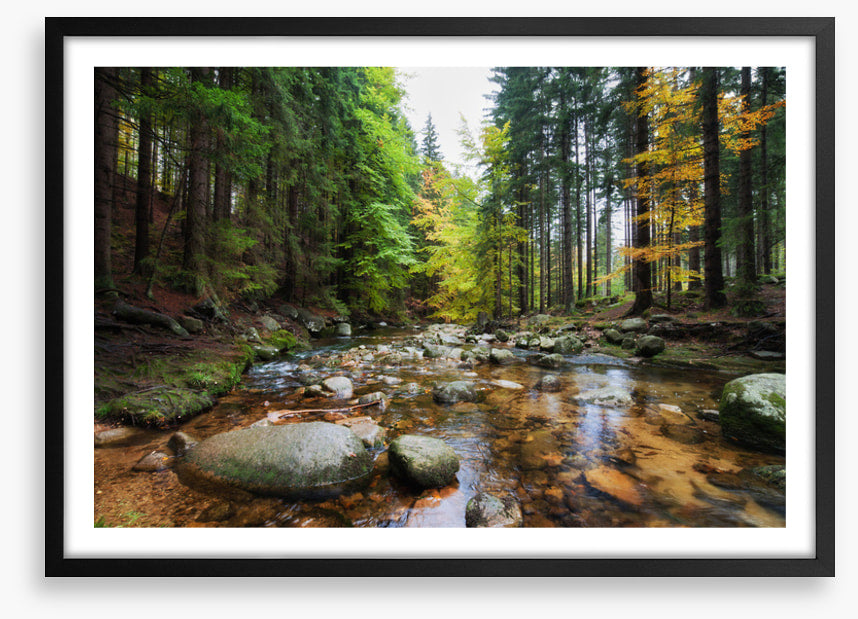 Rocks in the river