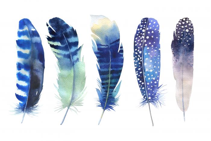 Feather me blue