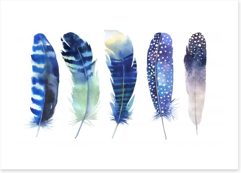 Feather me blue