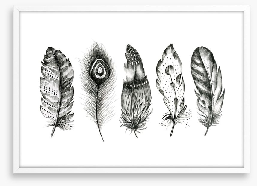 Monochrome quills