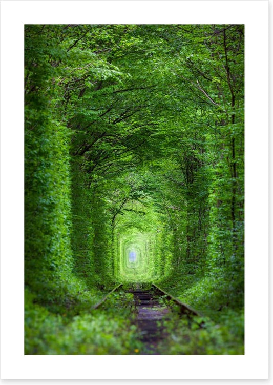The Tunnel of Love, Ukraine