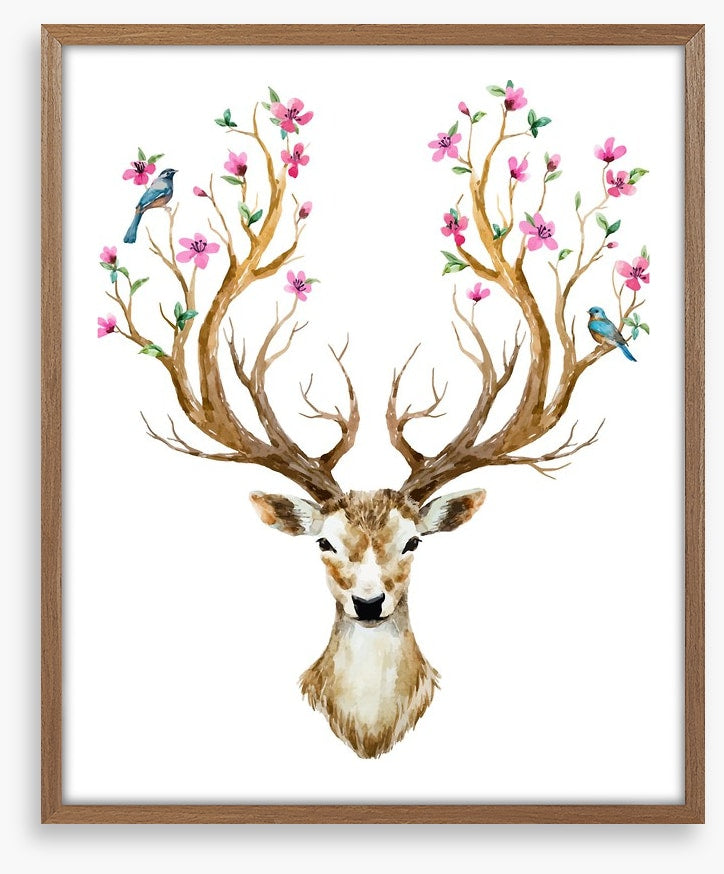 Spring deer
