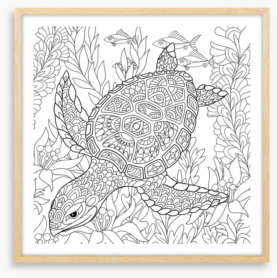 Colour me turtle