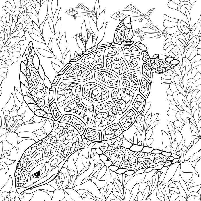 Colour me turtle
