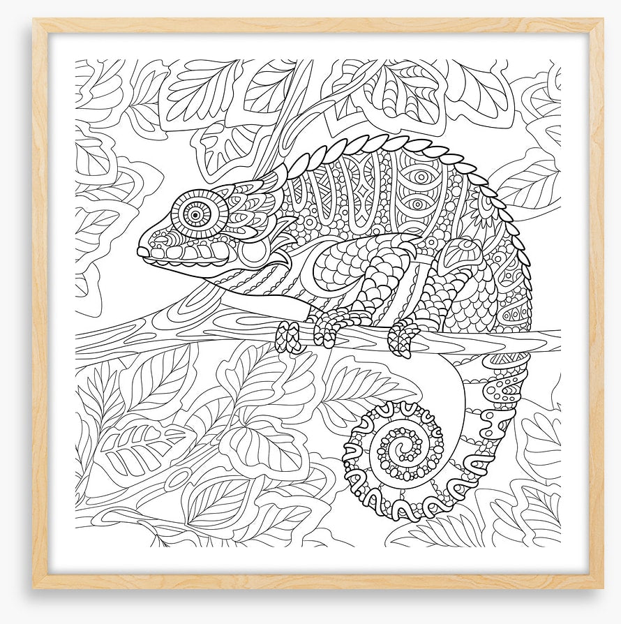 Colour me chameleon