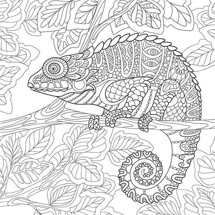 Colour me chameleon