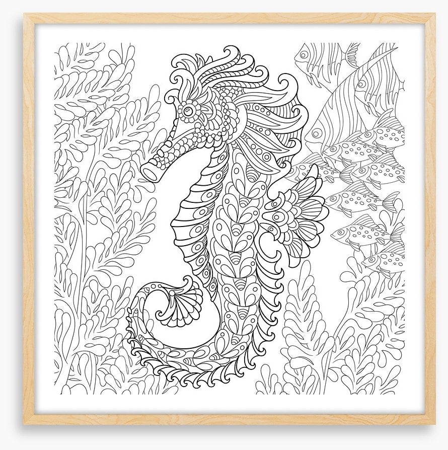 Colour me seahorse