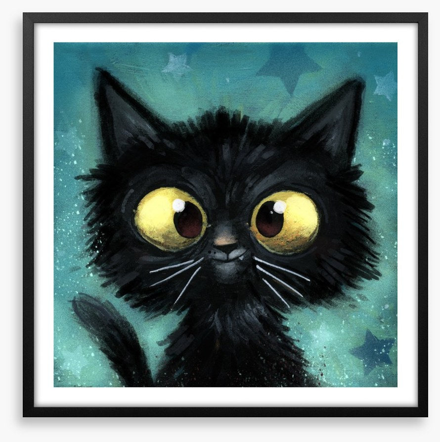 The black cat